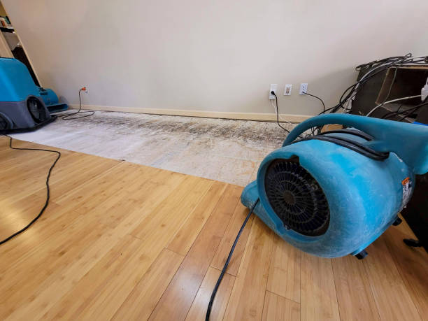 Professional Basement Flood Cleanup technician working in Wimauma, FL